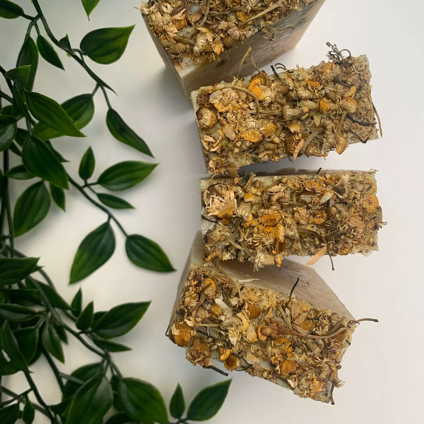 Chamomile Flowers & Lavender Soap,Skin Solace,Candle Making Workshop; Candle and Body Butter Box,skin care products set,bloom-massage-cand,sensitive skin care products skin care products for combination skin skin care products for menopause skin care products for redness skin care products set teen skin care products;
