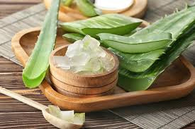 Aloe Vera Gel Moisturiser